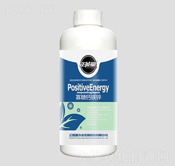 1300g�����}�V�\-