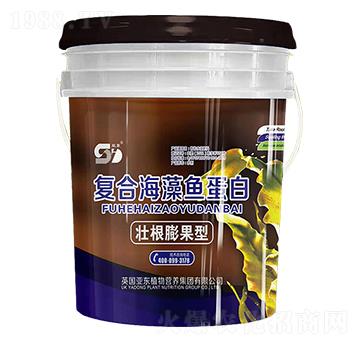 �Ѹ�����͏�(f��)�Ϻ����~(y��)��