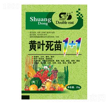 �S�~����1+1-�p�|-