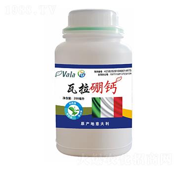 �������}-��ϲ��(l��)����