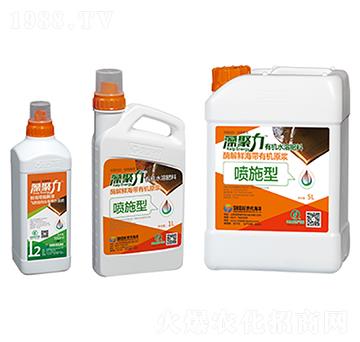 �~���͏�(f��)��΢�������-�����-��������