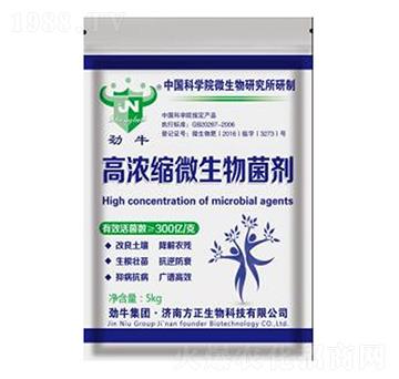 �ߝ�s΢�������-��ţ