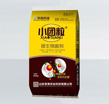 ΢�������-С�F��-��