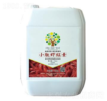 С���r�t��-��ֲ��