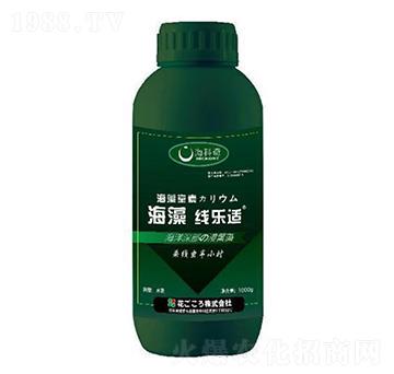 ���往���m-������