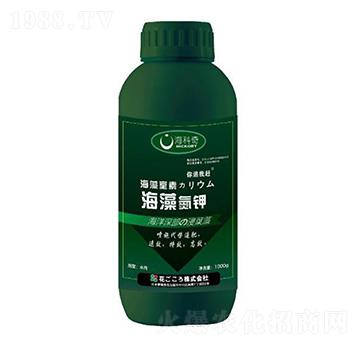 ���嵪�-������