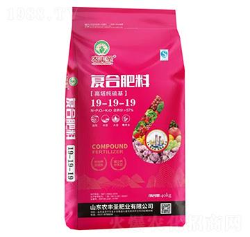 �����������(f��)�Ϸ���19-19-19-�r(n��ng)�Sʥ