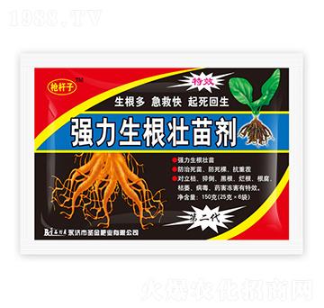 ��(qi��ng)���������焩-���U��-ʥ��ʘI(y��)