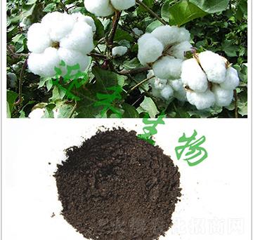 �޻����÷�-ӭ������