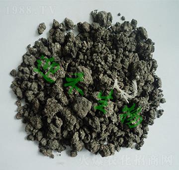 ���u�S1̖-ӭ������