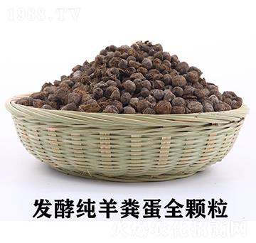 �l(f��)�ͼ���S��ȫ�w��-��������