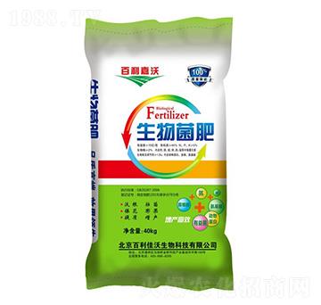 �������-��������-��ʥ����