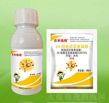 14-�u���|̦���޴�-