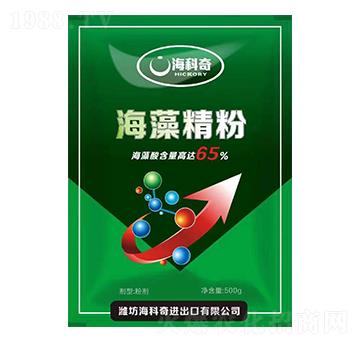 ���徫��-������