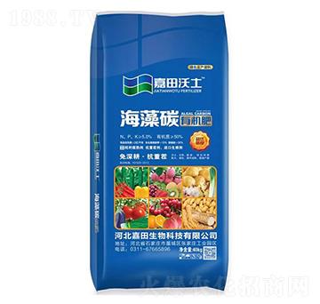 �ЙC��-����̼-��������