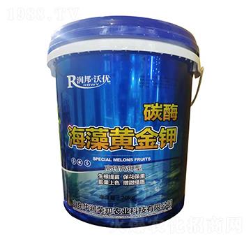 ���}�����̼ø�����S���-����փ�(y��u)-�A���s��