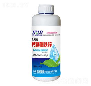 ȫԪ���}�V���F�\-�A���s��