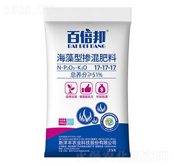 �����͓������17-17-17-�ٱ���-���ؠ�