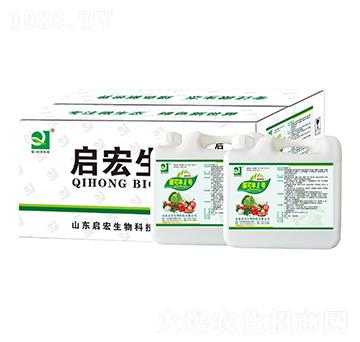 �����S1̖(h��o)-��������