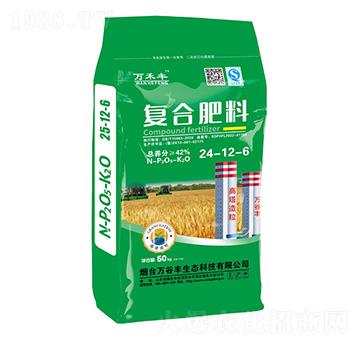 �ͺϷ���24-12-6-�f���S