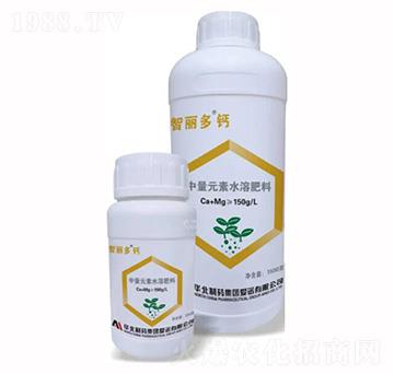 �������}����Ԫ��ˮ�ܷ���-���Z