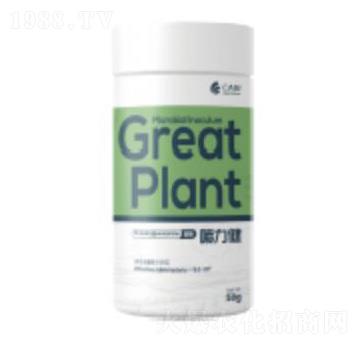 ������-��������