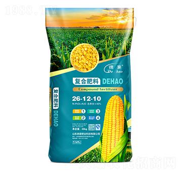 ���׌�(zhu��n)�Ï�(f��)�Ϸ���26-12-10-�º��ʘI(y��)