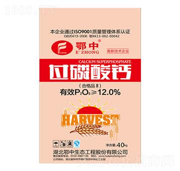 40kg�^(gu��)�����}-���зʘI(y��)