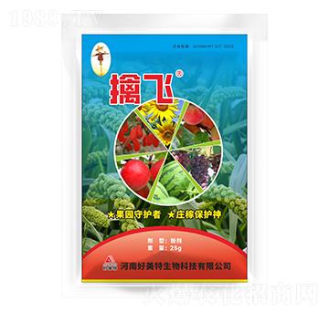 ���w�(q��)�B�ۄ�-������