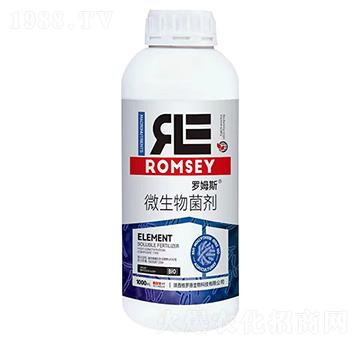 ΢�������-�_ķ˹-���_��