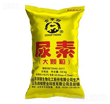 ���w������-�|ƽ��-��(r��n)�y����