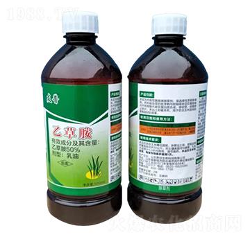 50%�Ҳݰ�����-����-Ұ������