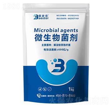 600�|΢�������-��ʩ̩