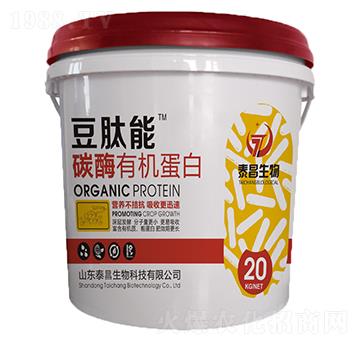 ̼ø�ЙC����-������-��̩����