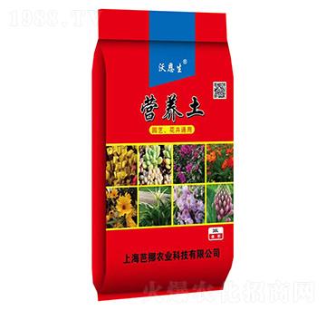 �@ˇ������ͨ�àI(y��ng)�B(y��ng)��-�ֶ���-܊�S�r(n��ng)�I(y��)