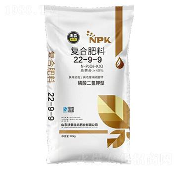 ���������͏ͺϷ���22-9-9-�ְ�