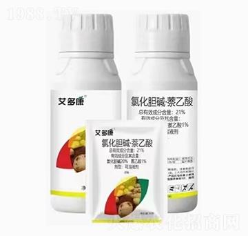 �Ȼ�đ�A��������-���࿵-��������