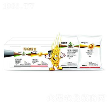 1%�׾����fù�`�w����+0.5%���x(ch��ng)���w����-�s���M��-�s���r(n��ng)��