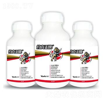 8%���x(ch��ng)��Ҹ��N��-�s������-�s���r(n��ng)��