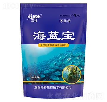 ���{��-��������