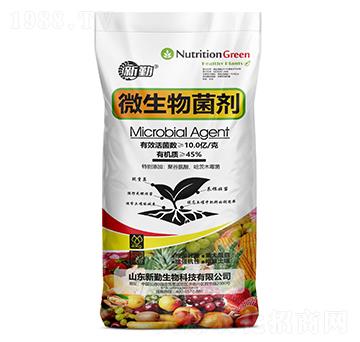 40kg΢�������-����