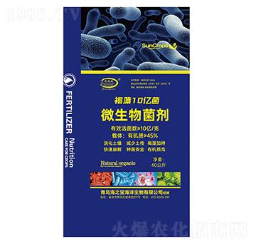 ΢�������-����10�|��-���-��֮��