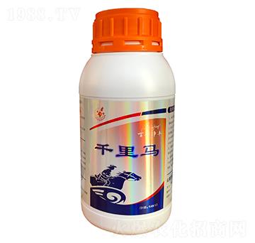 ǧ���R-�������S