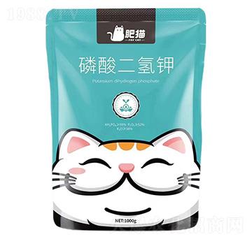 ��������-��؈