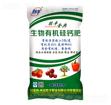 �����ЙC(j��)���}��-���S���-���S�ʘI(y��)