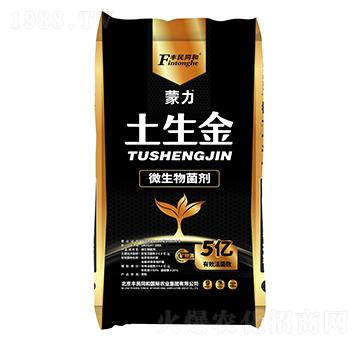 ����������΢�������-�͝��r�I(y��)