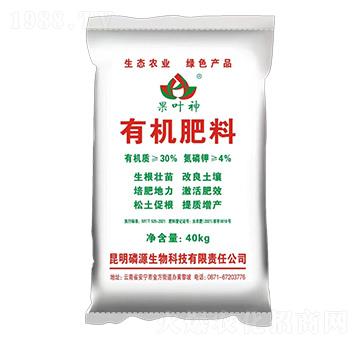 �ЙC(j��)����-���~��-���f�ʘI(y��)