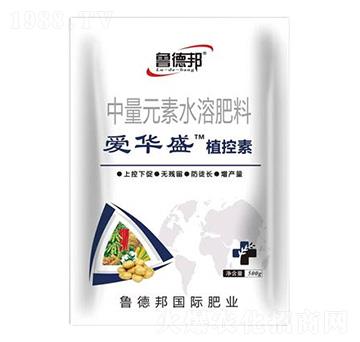 ����Ԫ��ˮ�ܷ���-��(��i)�Aʢֲ����-��?sh��)°? />
                                </div>
                            </div>
                            
                            <style type=