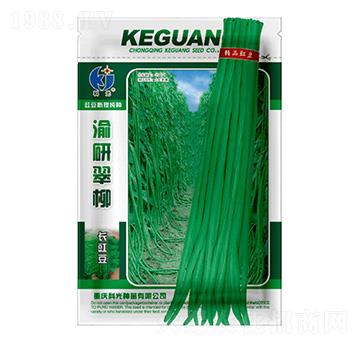 ���д���-�ƹ�N��