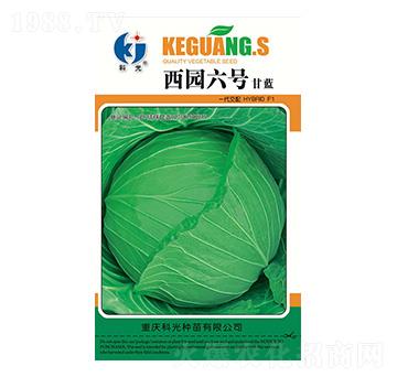 ���@��̖(h��o)-�ƹ�N��